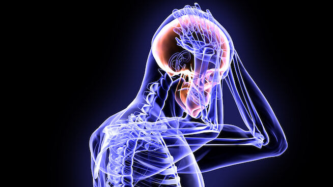 Neck Strength and Concussions: The Ultimate Guide on how to prevent concussions